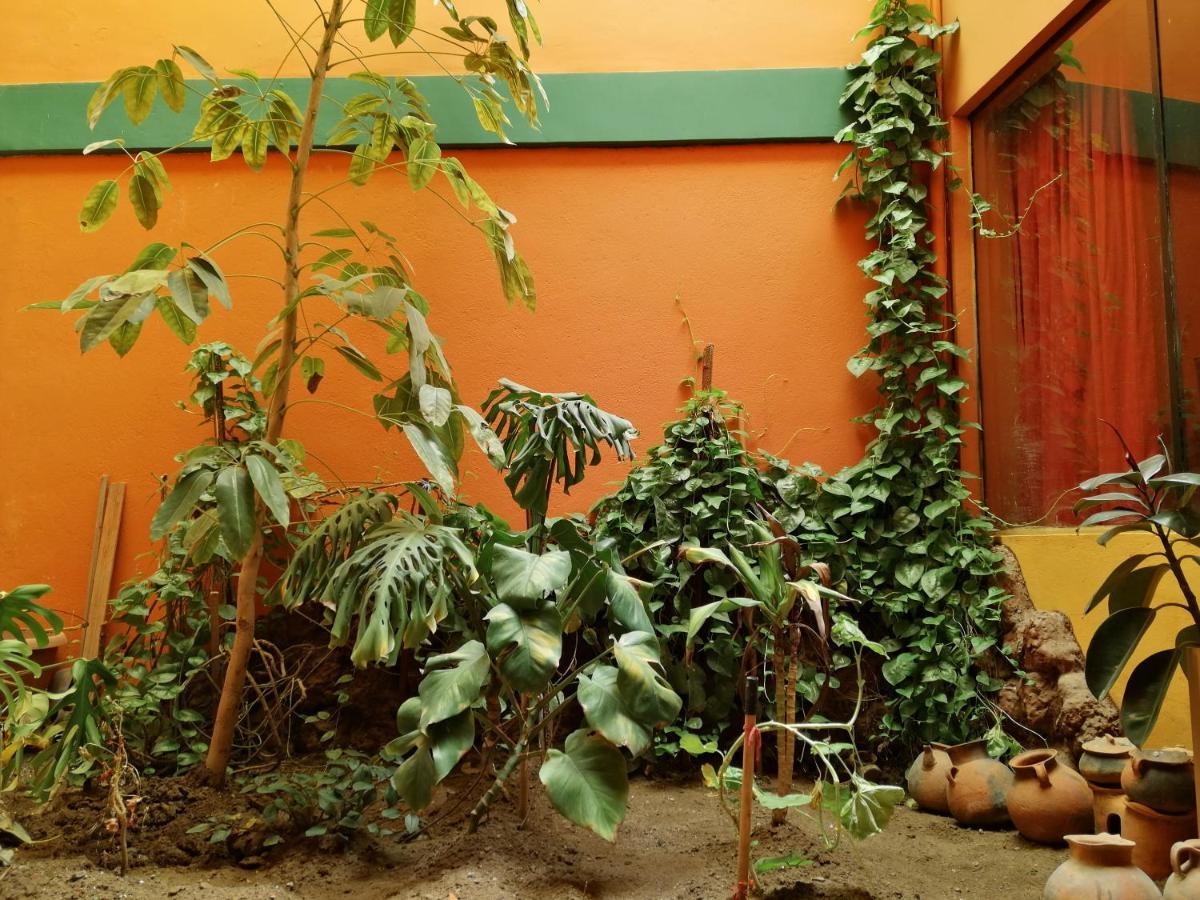 Olas Del Titicaca Backpackers Hostel Копакабана Екстериор снимка